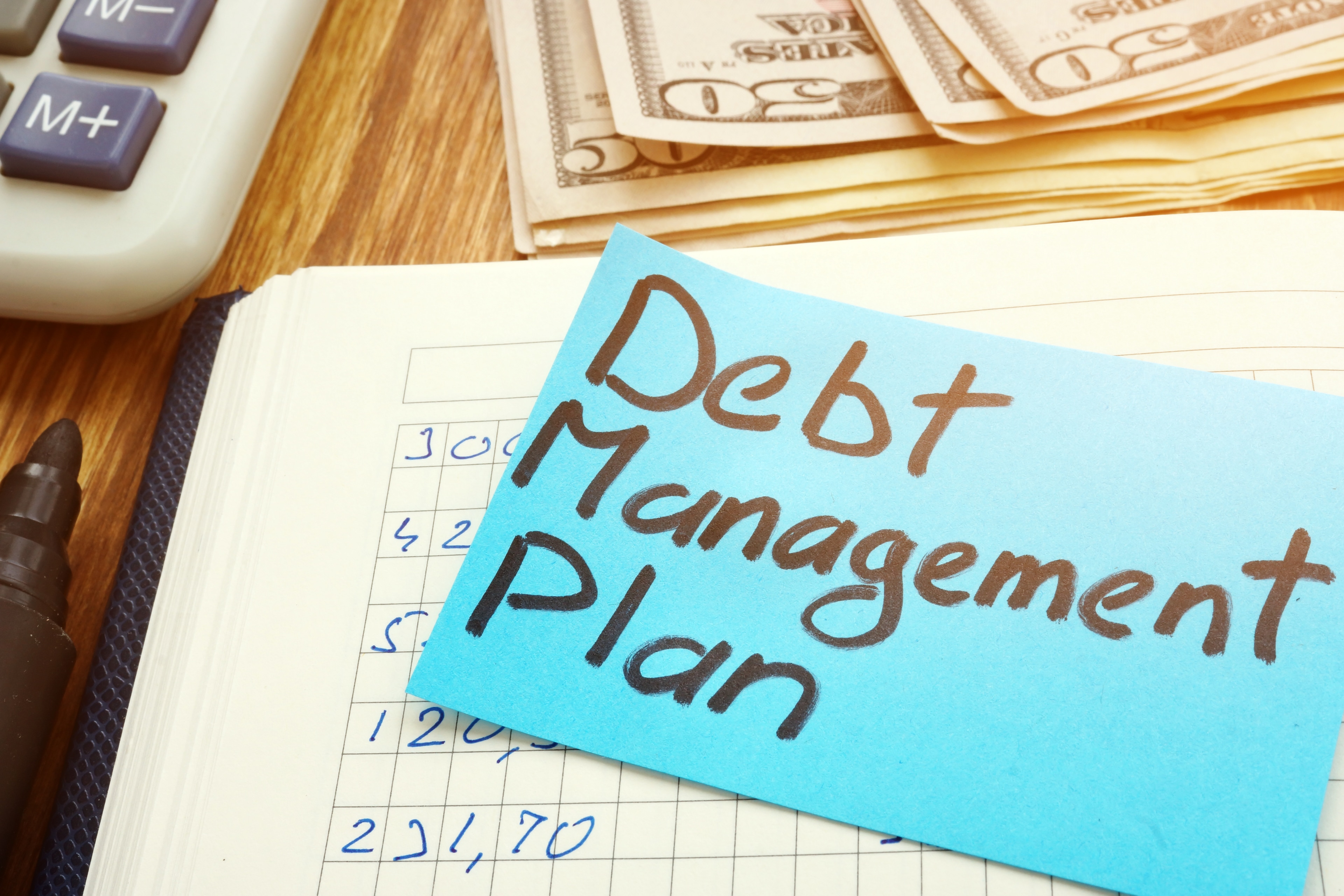 debt management