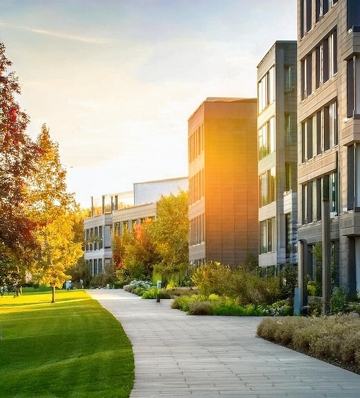 UC Davis campus at sunrise