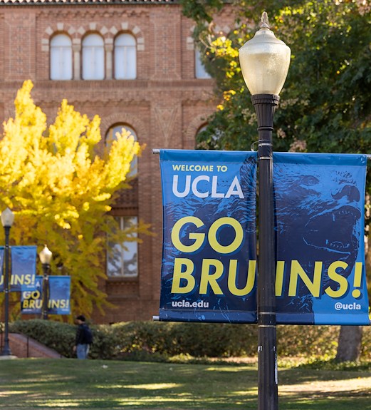 Banners on UCLA campus